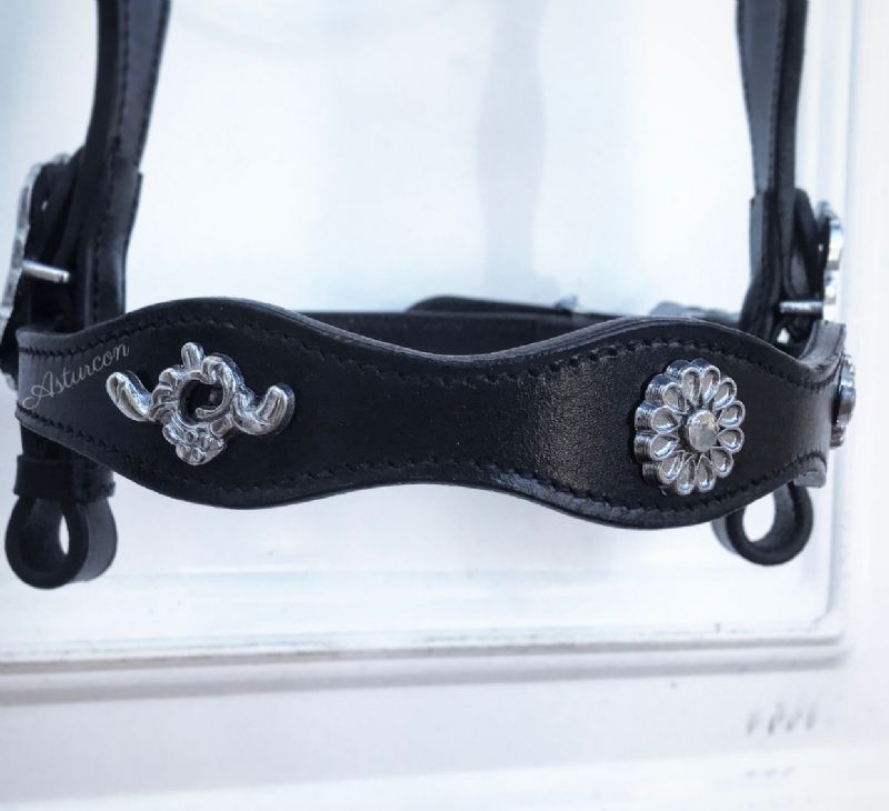 Palpatine Portuguese Bridle